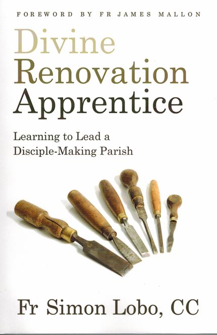 Divine Renovation Apprentice