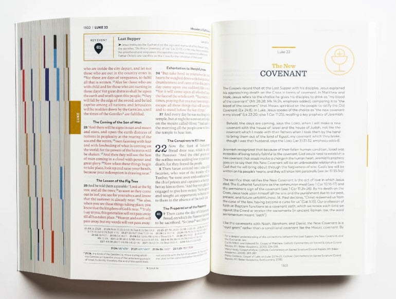 The Great Adventure Catholic Bible: Paperback 2nd Edition