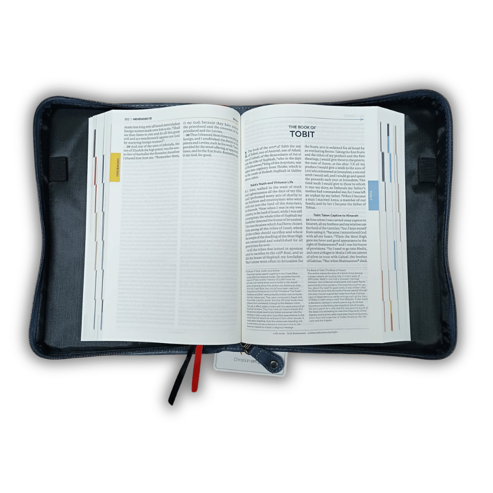 The Great Adventure Bible with Zip Cover SPECIAL