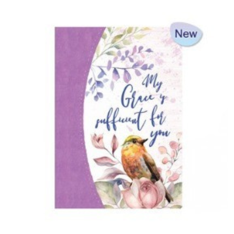 Journal: "My Grace is sufficient for you"