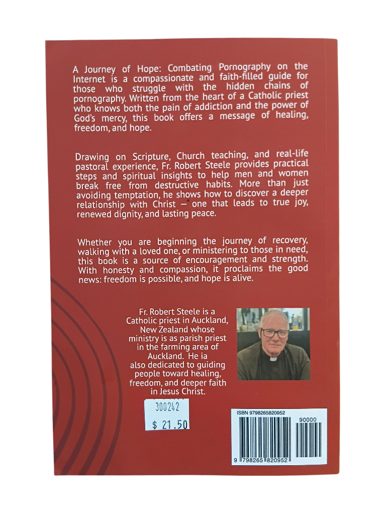 A Journey of Hope: Combating Pornography on the Internet