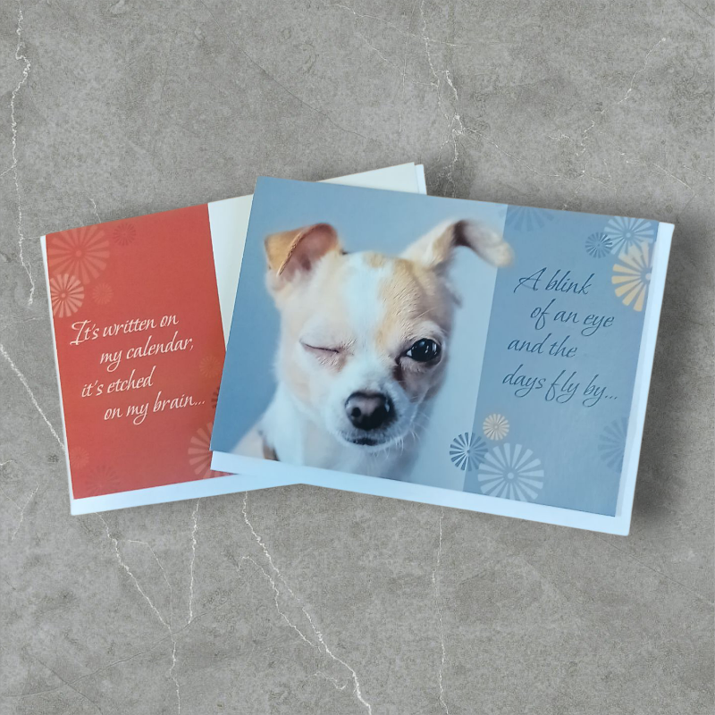 Birthday Cards