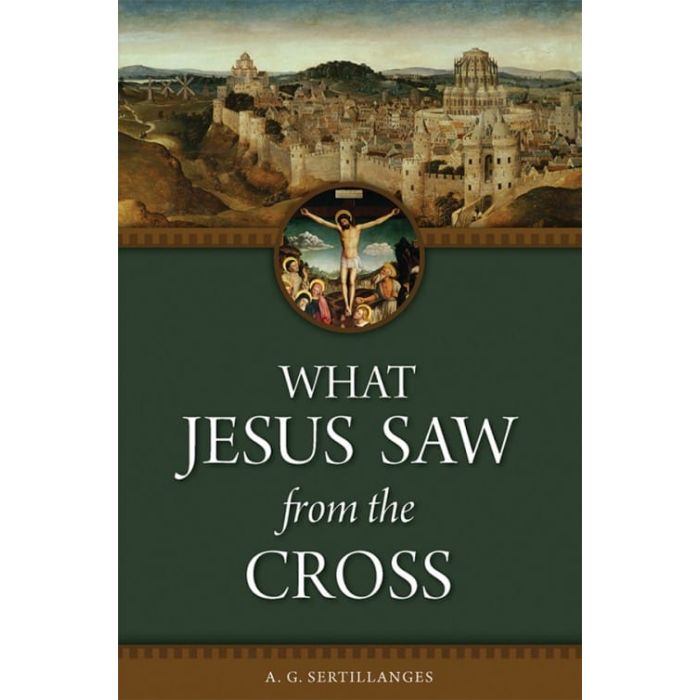What Jesus saw from the Cross