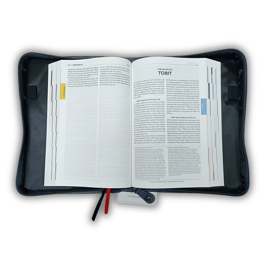 The Great Adventure Bible with Zip Cover SPECIAL