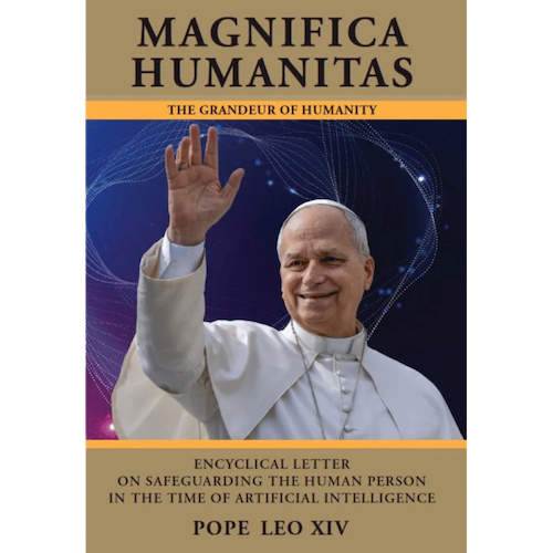Magnifica Humanitas: On Safeguarding the Human Person in the Time of Artificial Intelligence