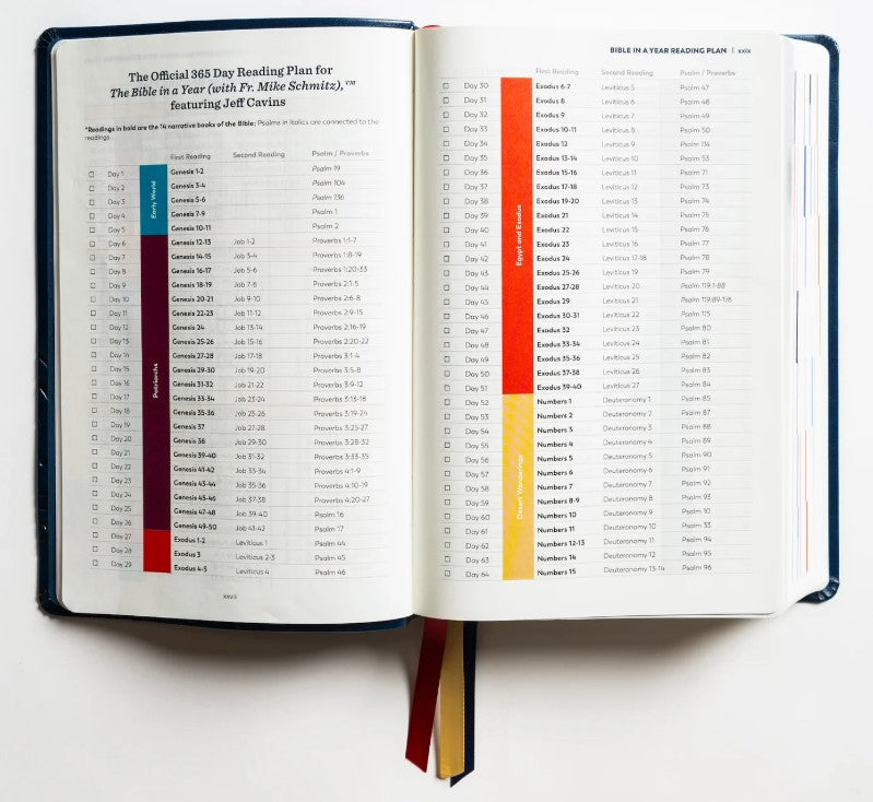 The Great Adventure Catholic Bible - Leatherlike: 2nd Edition