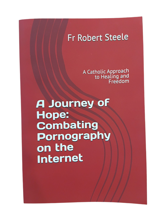 A Journey of Hope: Combating Pornography on the Internet