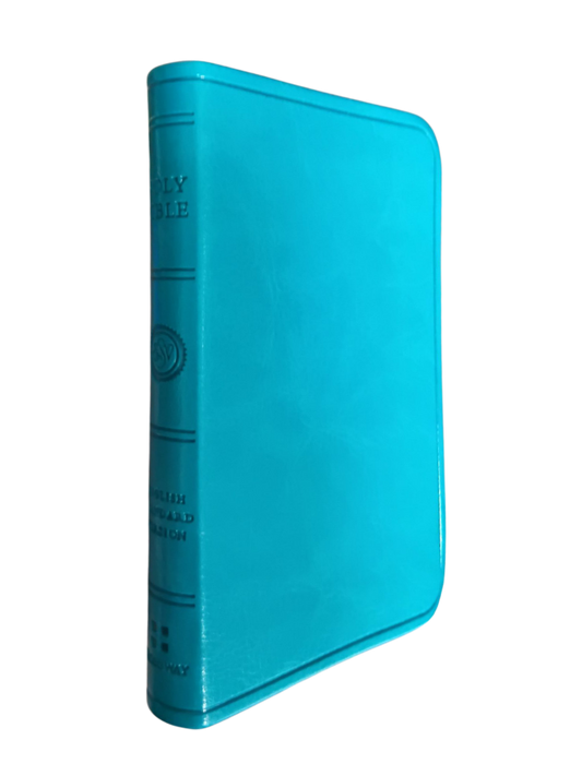 ESV Pocket New Testament with Psalms & Proverbs