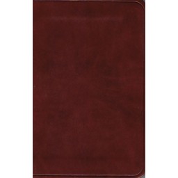 ESV New Testament w Psalms & Proverbs Chestnut ESV New Testament w Psalms & Proverbs Chestnut