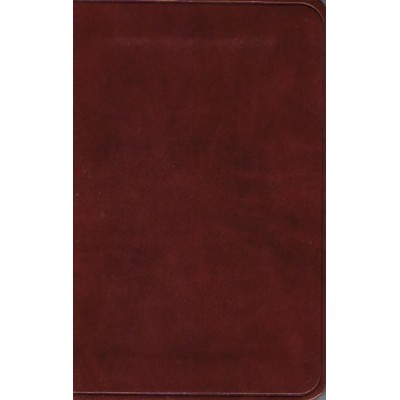 ESV New Testament w Psalms & Proverbs Chestnut