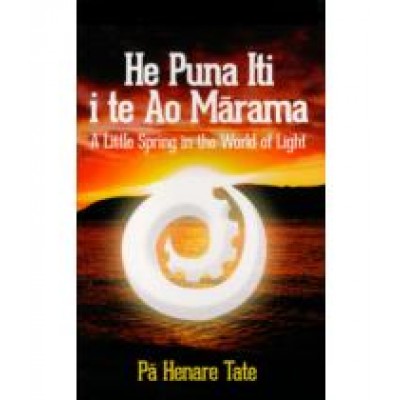 He Puna Iti i te Ao Marama