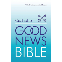 GNB: Catholic Edition Hardcover Blue