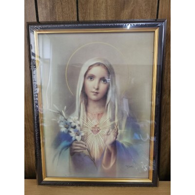 Framed Picture Sacred Heart of Mary